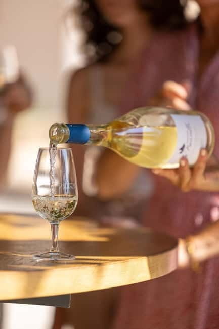 Wine tasting tour - Le Pradet - How This Tour Adds Value