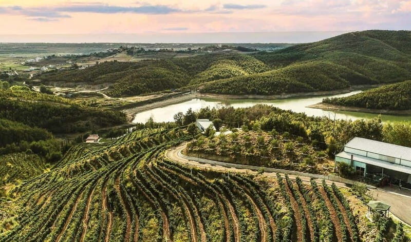 Wine tasting tour, Optional wine yard tour and kayak rides - Key Points