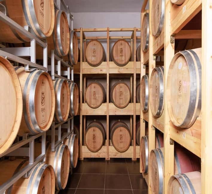 Wine tasting tour, Optional wine yard tour and kayak rides - A Closer Look at the Experience
