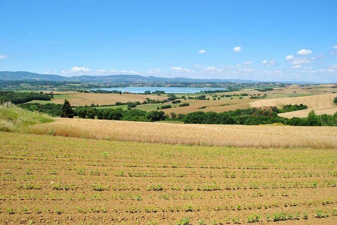 Wine Tasting & Tour Premium - Who Should Consider This Tour?