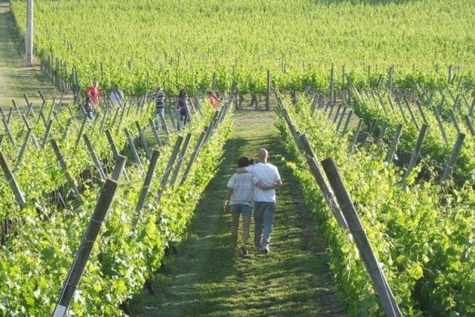 Wine Tasting & Tour Premium - FAQ