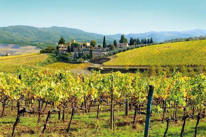 Wine Tasting & Tuscany Countryside, San Gimignano & Volterra - The Sum Up: Who Will Love This Tour?