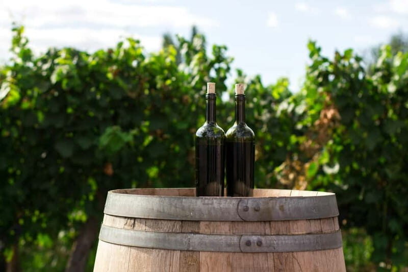 Wine Tasting & Vineyards Escape near Tirana - Who Would Love This Tour?