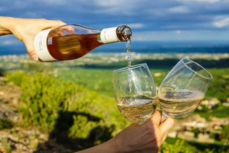 Wine Tasting & Vineyards Escape near Tirana - The Sum Up