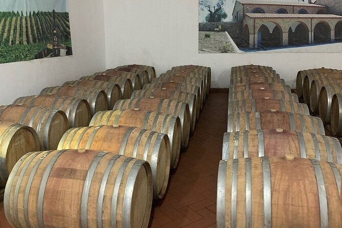 wine-tasting-vineyards-escape-near-tirana