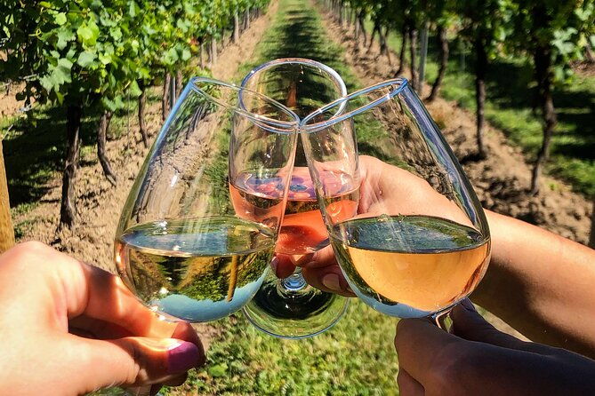 wine-tasting-vineyards-escape-near-tirana