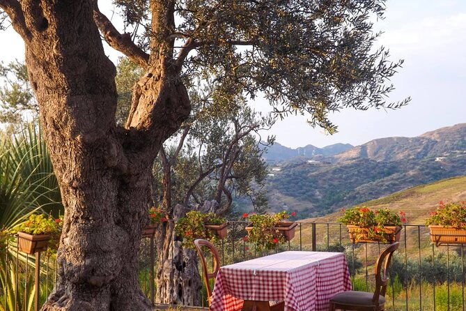 wine-tasting-vineyards-escape-near-tirana