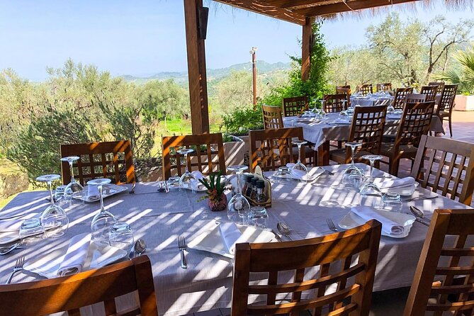 wine-tasting-vineyards-escape-near-tirana
