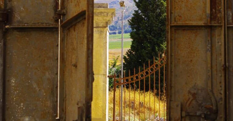 wine-tasting-whit-painting-lesson-in-baglio-florio