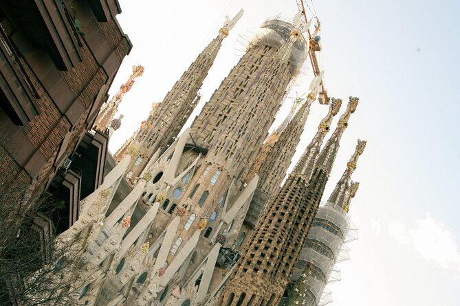 Wine tasting with a view of the Sagrada Familia - The Sum Up: Is It Worth It?