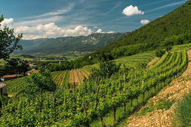 Wine Tasting with Cold Cuts - What Makes This Wine Tasting Special?
