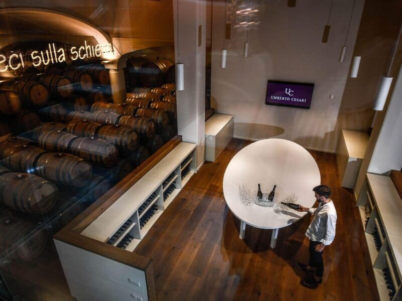wine-tasting-with-food-pairing-near-bologna