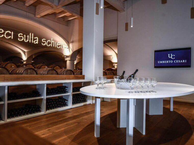 wine-tasting-with-food-pairing-near-bologna
