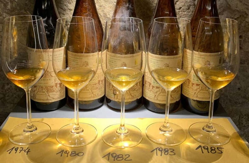 Wine Tasting with Local Bites in Pisa near the Tower - Final Thoughts