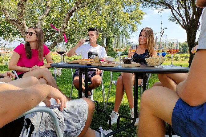 wine-tasting-with-local-food-in-lazise-countryside