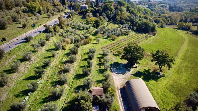 Wine Tasting with Local Food near Montepulciano - A Closer Look at the Experience