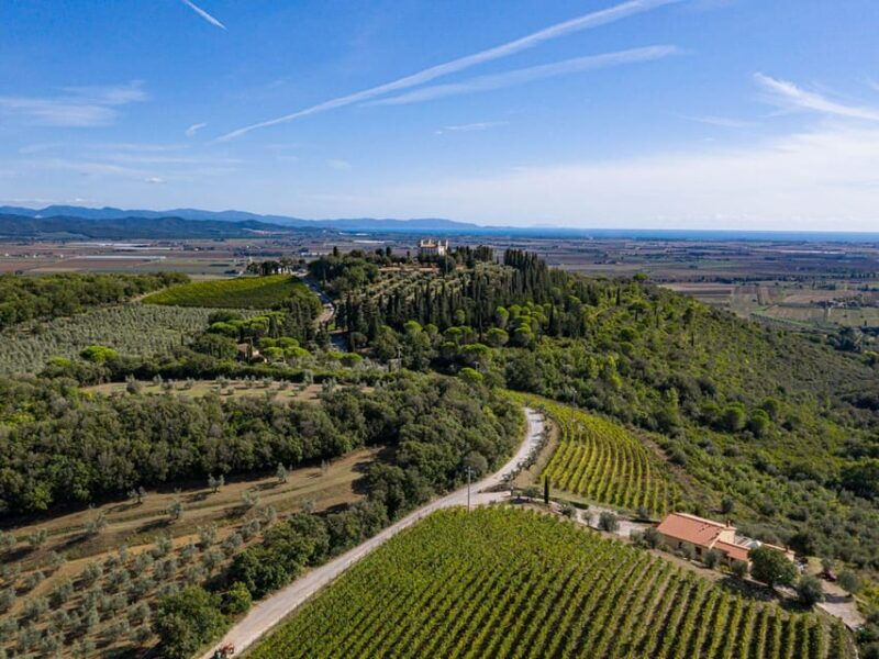 wine-tasting-with-local-food-pairing-near-livorno