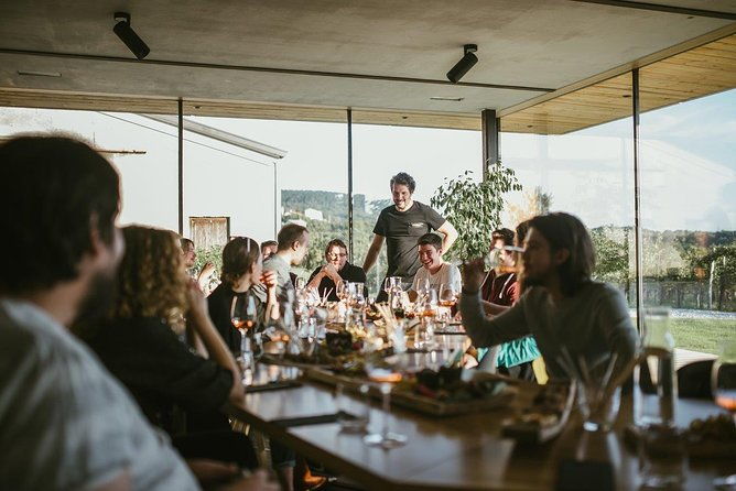 wine-tasting-with-pairing-snacks-in-vipava-valley