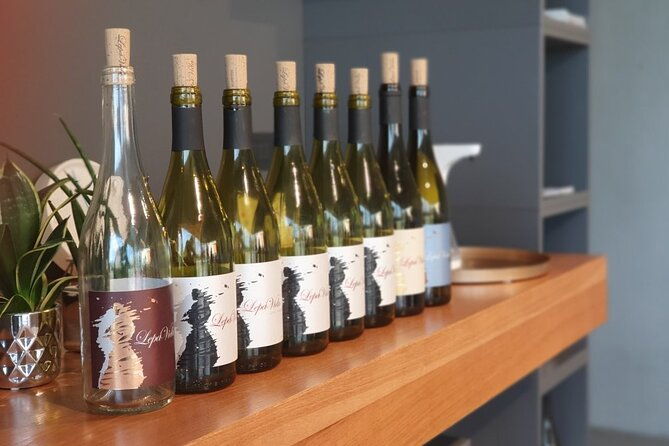 wine-tasting-with-pairing-snacks-in-vipava-valley