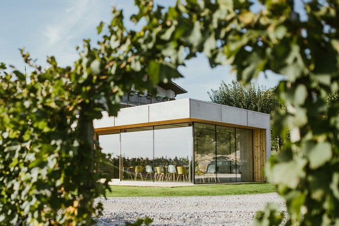 wine-tasting-with-pairing-snacks-in-vipava-valley