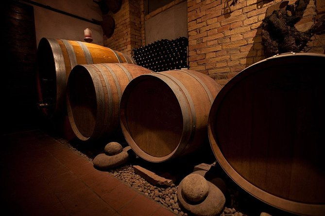 wine-tasting-with-the-producer-visit-to-the-cellar-vineyards-between-langhe-monferrato