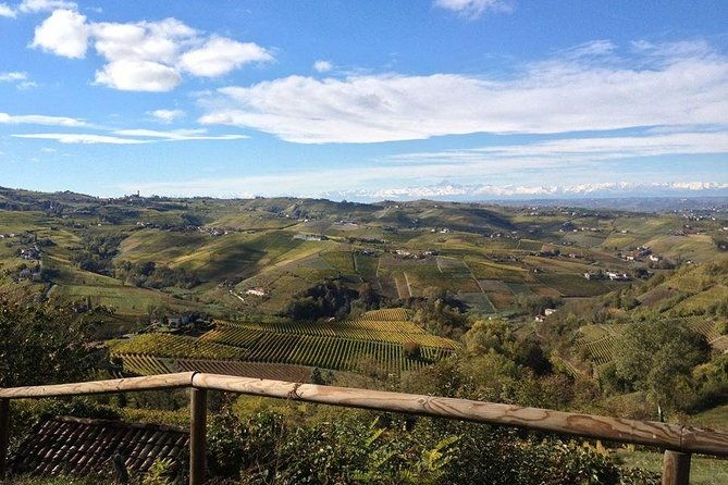 wine-tasting-with-the-producer-visit-to-the-cellar-vineyards-between-langhe-monferrato