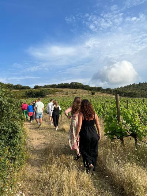 Wine tour and lunch or dinner at our vineyard - Key Points