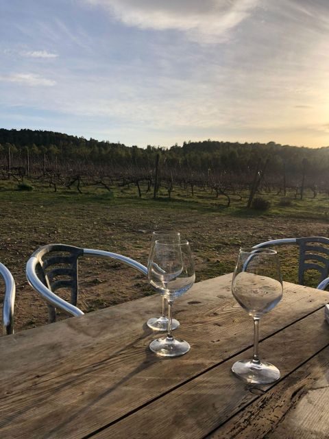 Wine tour and lunch or dinner at our vineyard - What Makes This Tour Stand Out?