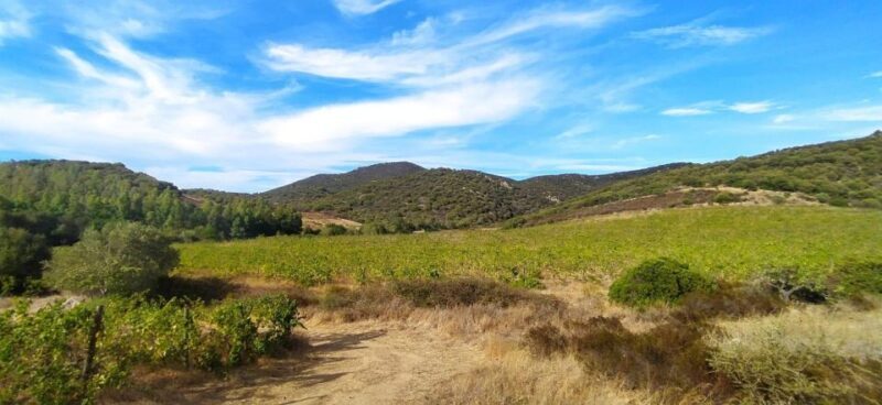 Wine tour and lunch or dinner at our vineyard - Final Thoughts