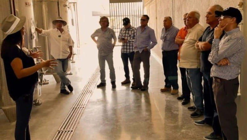 wine-tour-and-tasting-at-tierra-de-luz-winery