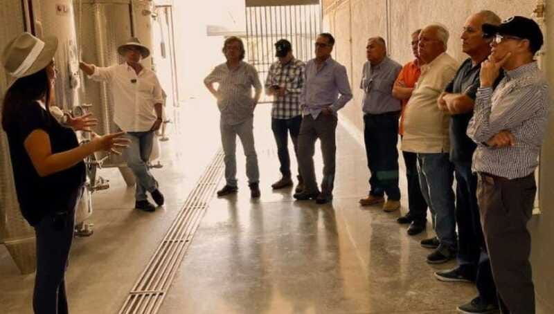 wine-tour-and-tasting-at-tierra-de-luz-winery