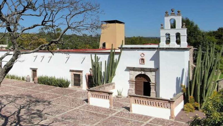 wine-tour-and-tasting-at-tierra-de-luz-winery