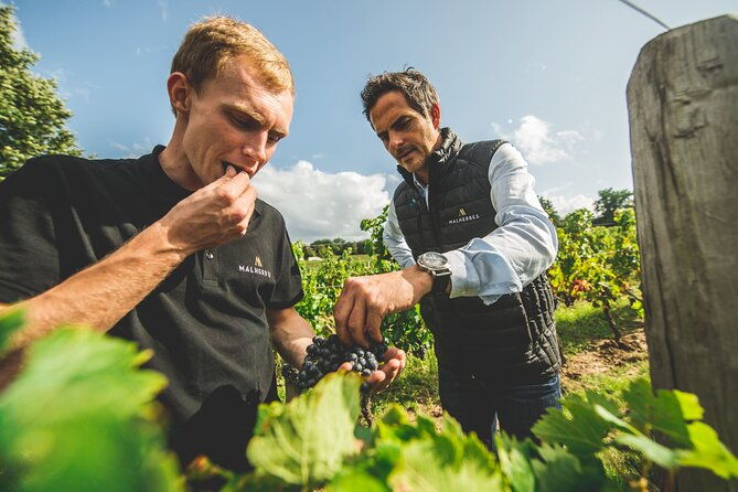 wine-tour-and-tasting-chateau-de-malherbes