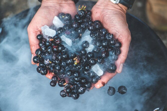 wine-tour-and-tasting-chateau-de-malherbes