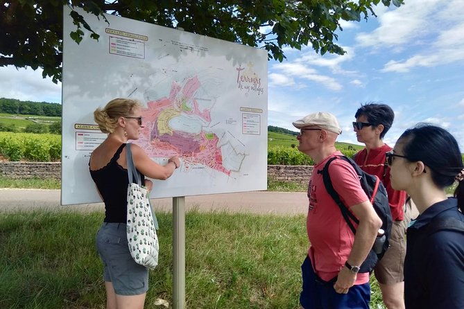 wine-tour-and-tasting-in-burgundy