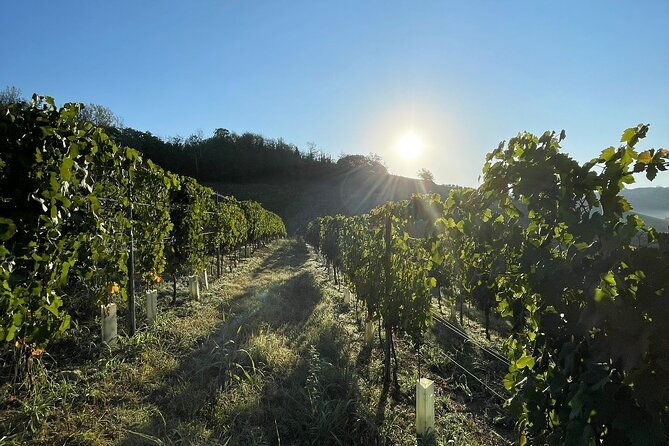 wine-tour-and-tasting-in-the-monferrato-premium