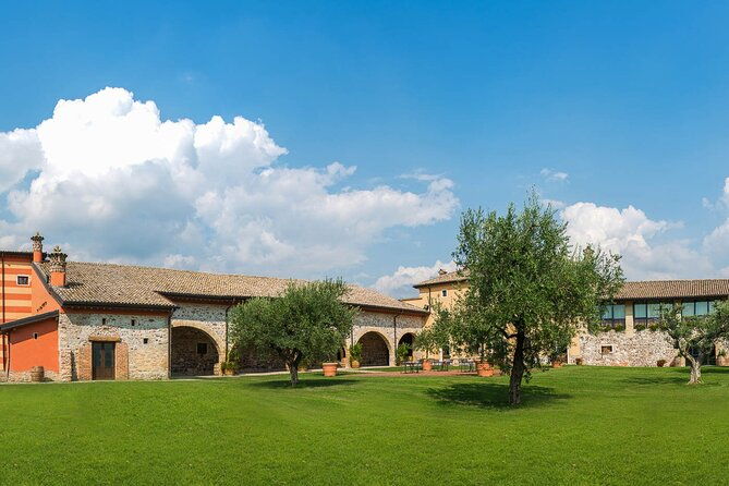 wine-tour-and-tasting-on-garda-hills