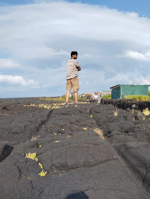 wine-tour-and-tasting-with-a-local-winemaker-at-pico-island-2