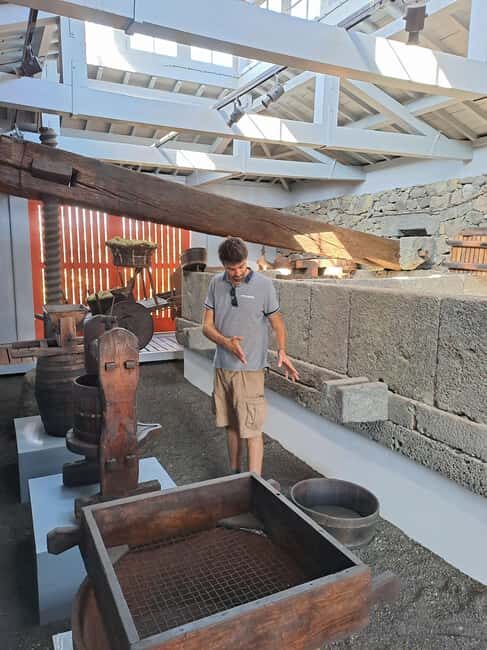 Wine Tour and Tasting with a local Winemaker at Pico Island - Key Points