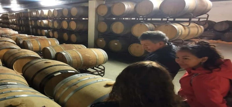 Wine Tour and traditional Portuguese tiles in Half Day Tour - Who Should Consider This Tour?