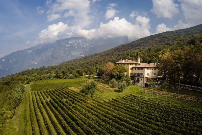 Wine tour at Borgo dei Posseri: wine, nature, and authenticity - Key Points