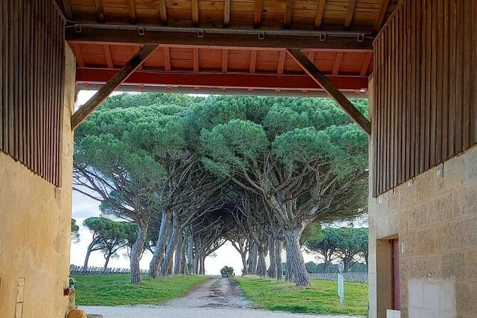 wine-tour-at-chateau-lanessan-2