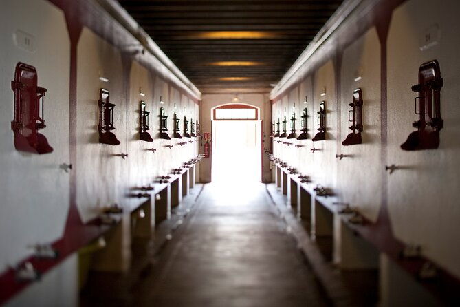 wine-tour-at-chateau-lanessan