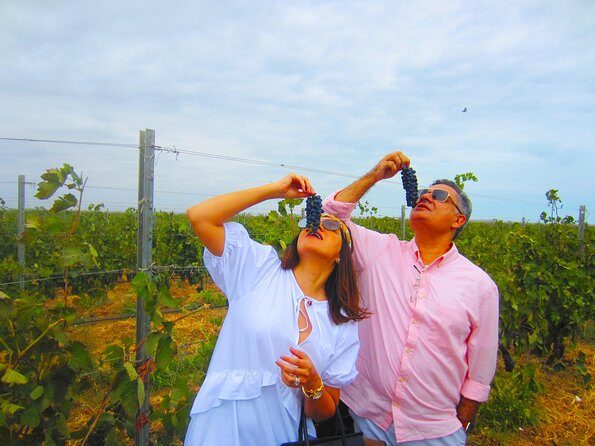 Wine Tour Baku - Exploring the Wine Tour Baku Experience