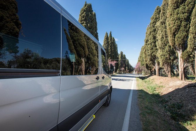 wine-tour-bolgheri-half-day-shore-excursion-from-livorno-port
