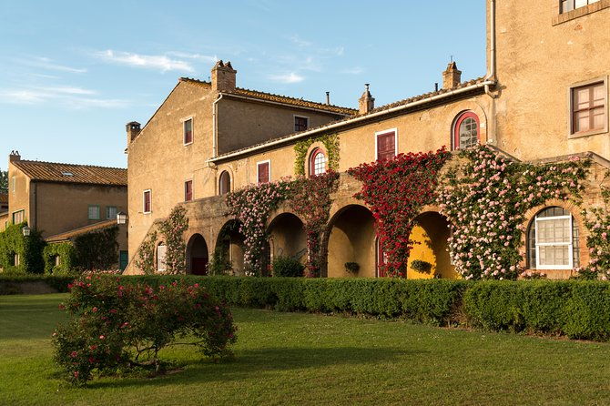 wine-tour-bolgheri-half-day-shore-excursion-from-piombino-port