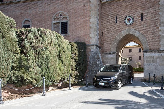 wine-tour-bolgheri-half-day-shore-excursion-from-piombino-port