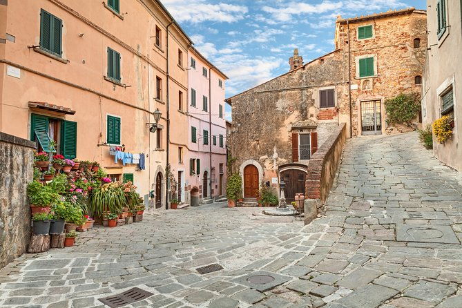 wine-tour-bolgheri-half-day-shore-excursion-from-piombino-port