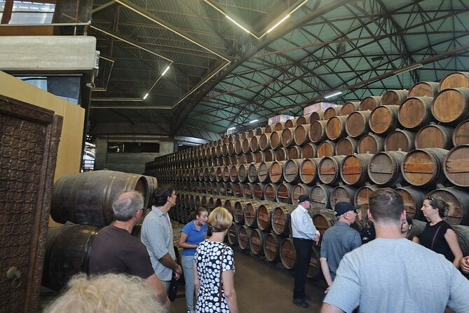 wine-tour-discovering-the-famous-setubal-moscatel