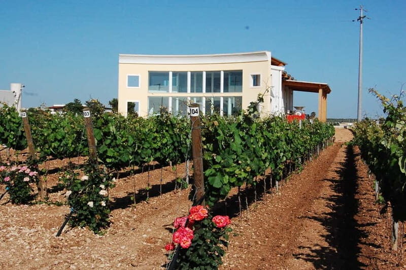 Wine Tour "Discovery Jarche" - Key Points